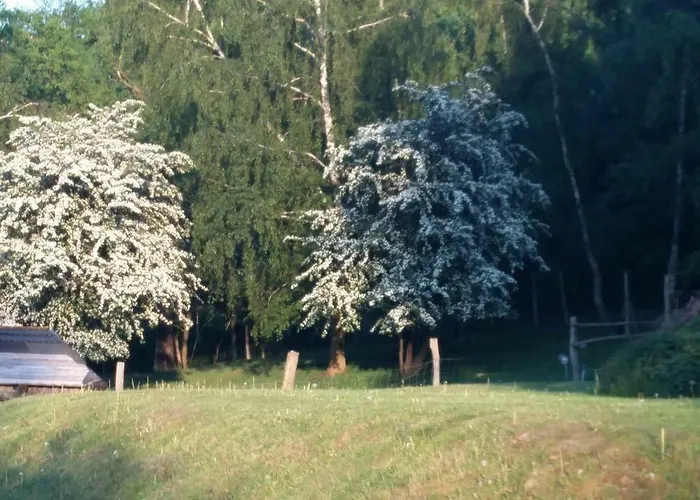 Zimmervermietung Am Holzberg * Thallwitz